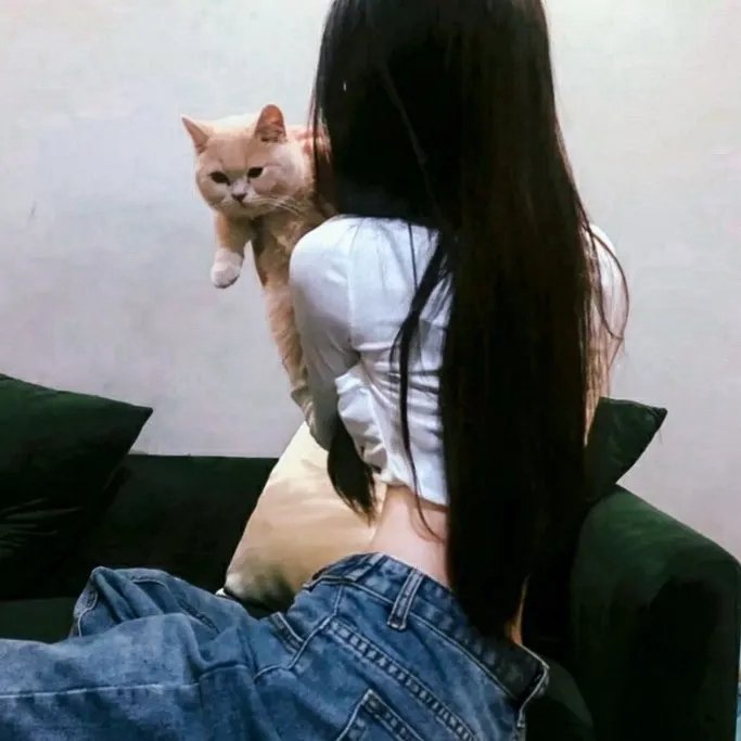 诡影直播间